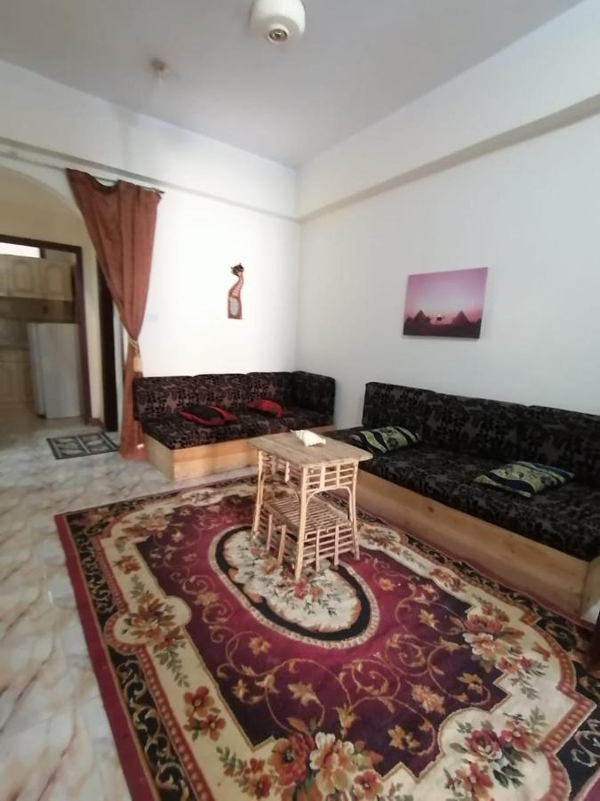 Winter Guest House Luksor Dış mekan fotoğraf