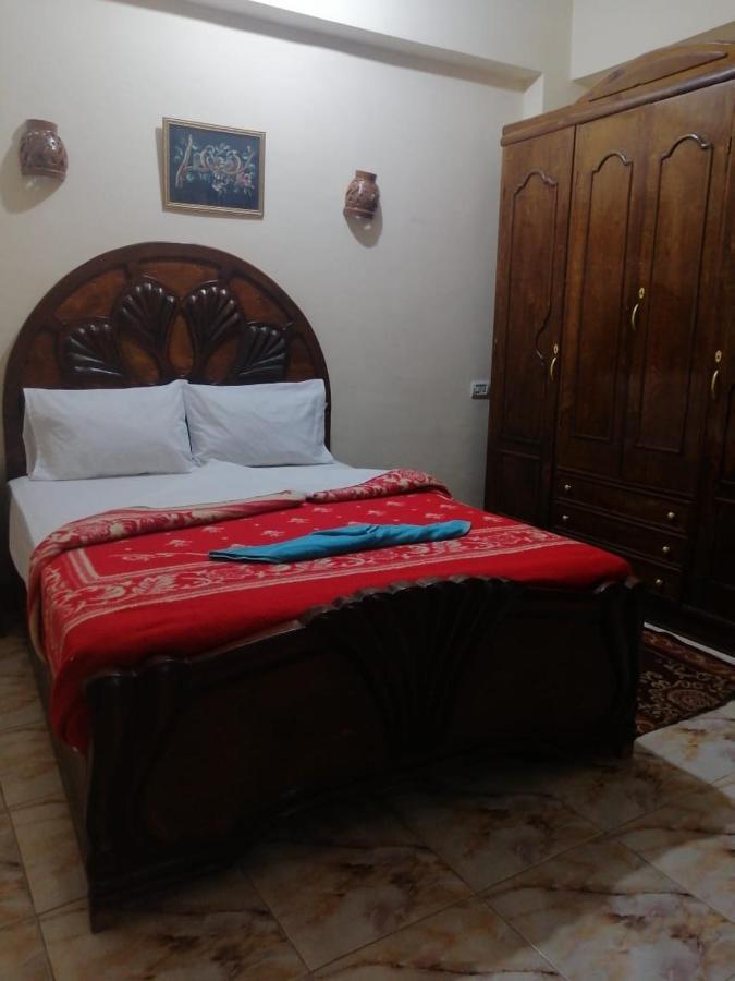 Winter Guest House Luksor Dış mekan fotoğraf