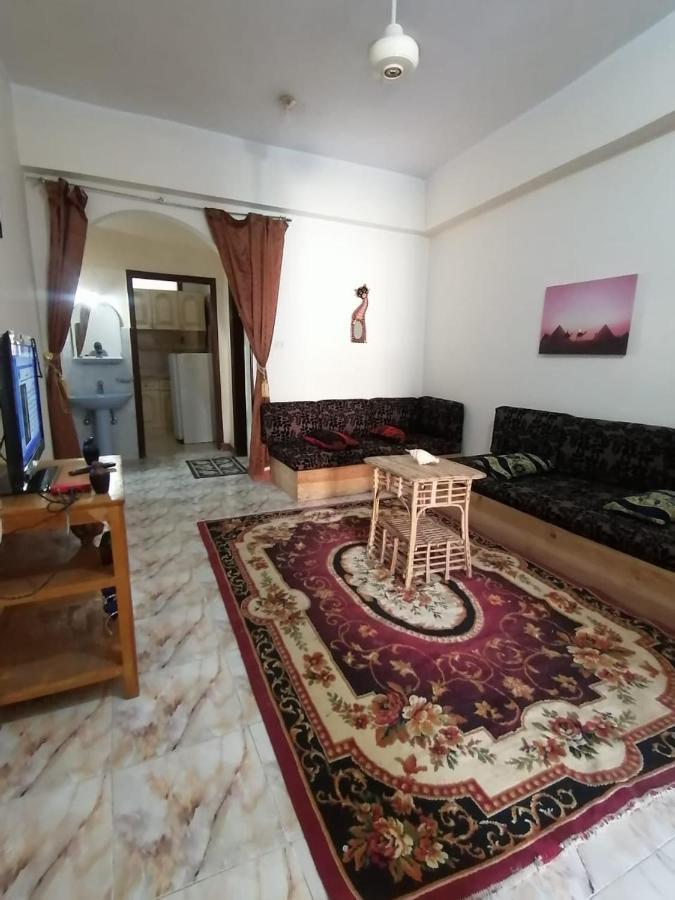 Winter Guest House Luksor Dış mekan fotoğraf
