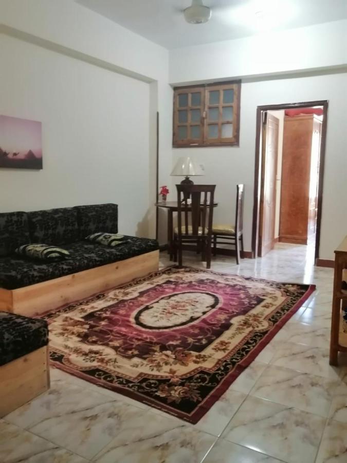 Winter Guest House Luksor Dış mekan fotoğraf